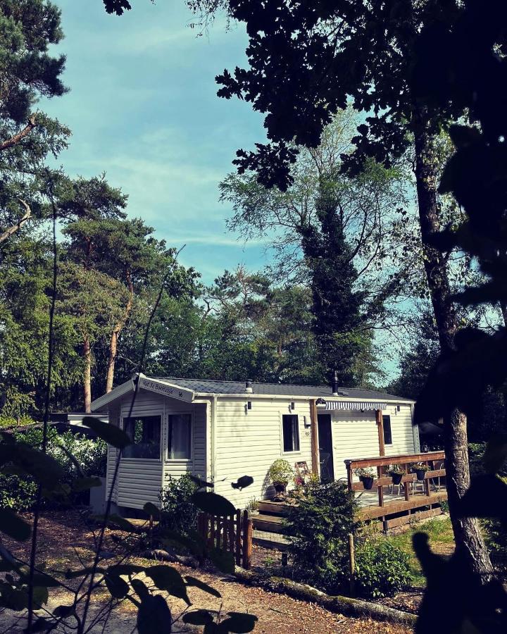 Knus Chalet Midden In De Bossen Nunspeet Exterior foto